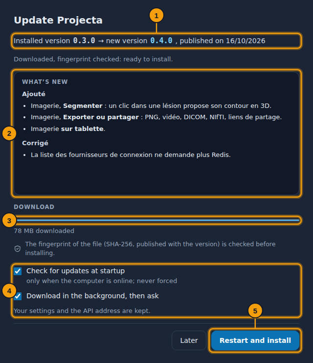 The Update Projecta window